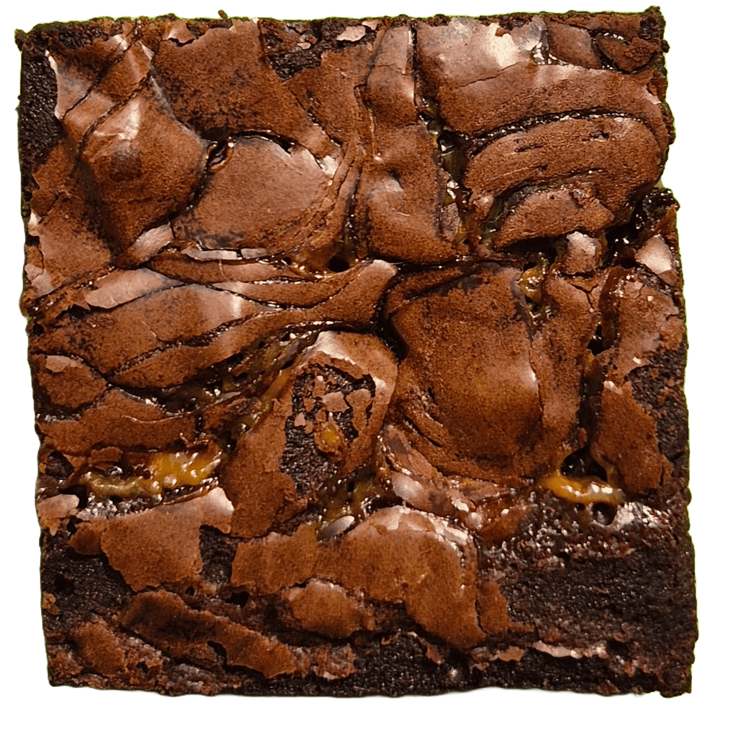 Salted Caramel Brownie